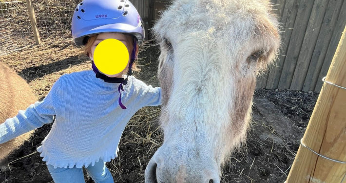 Esel2.jpg Inserat "Esel Fridolin und Benjamin" vom 03.06.2026