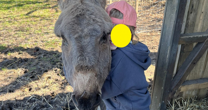 Esel3.jpg Inserat "Esel Fridolin und Benjamin" vom 03.06.2026
